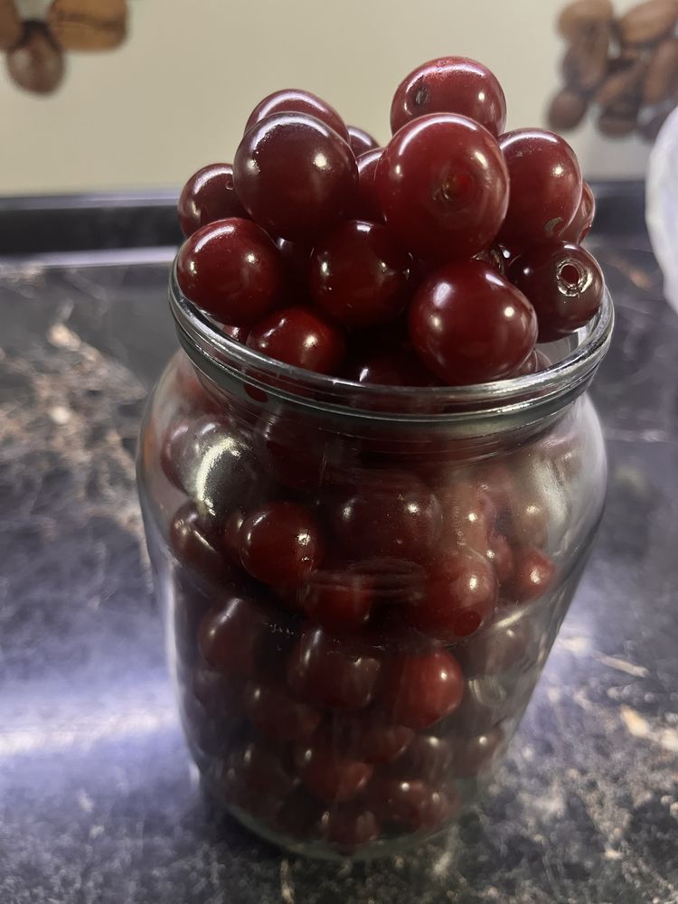 Вишня домашняя продаю