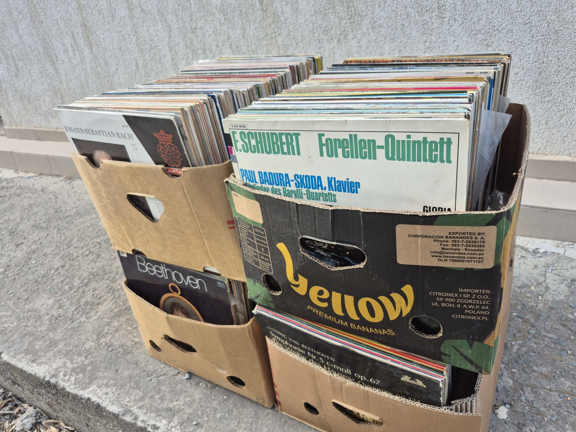 Lot Discuri Vinil colectie 200 in stare buna cu muzica clasică 

- Tot