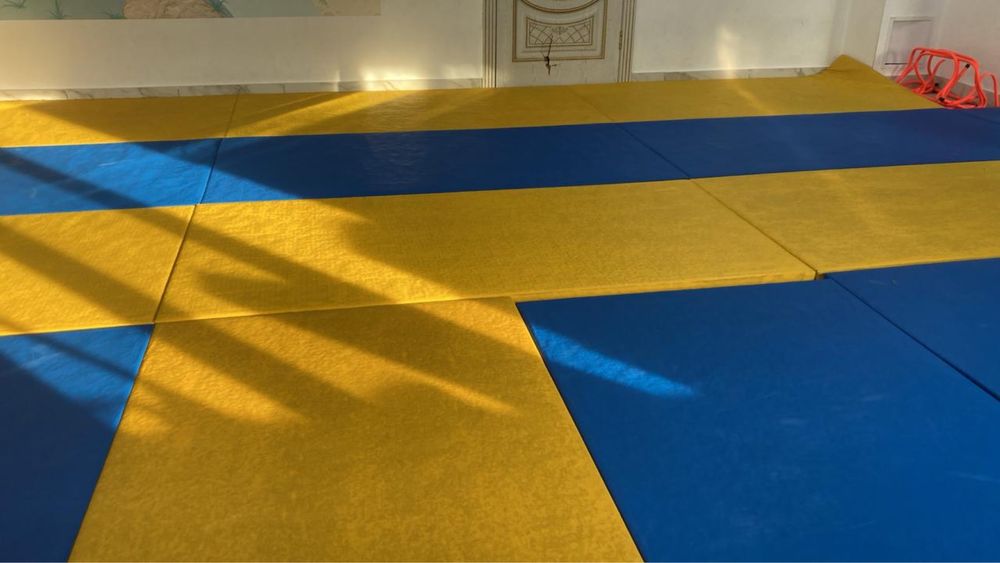 Татами для дзюдо, самбо , карате