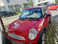 vand autoturism mini mini