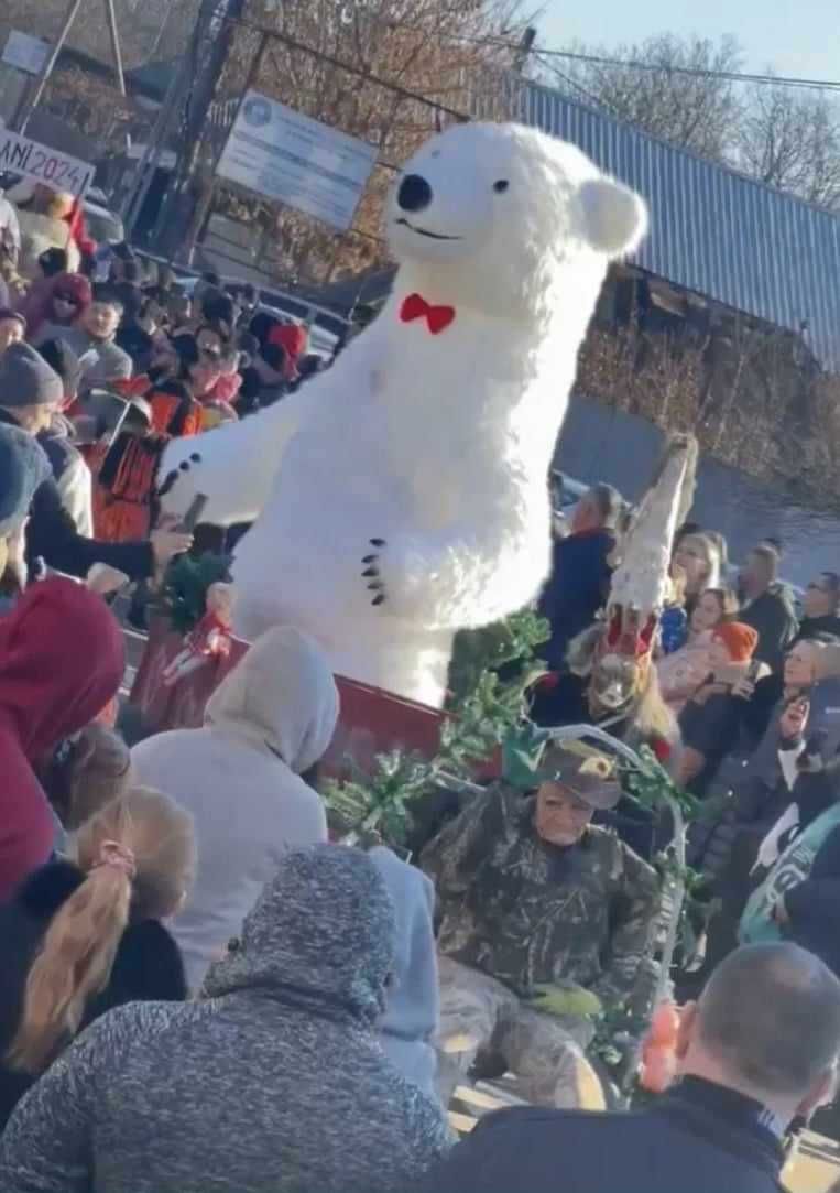 Urs polar de 3 metri pentru evenimente speciale  Fram ursul polar