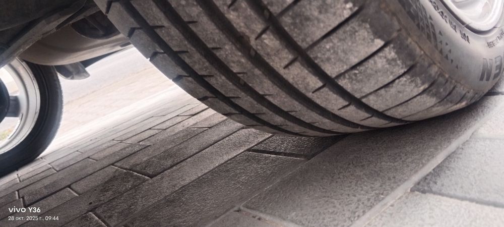 Торус торус торус