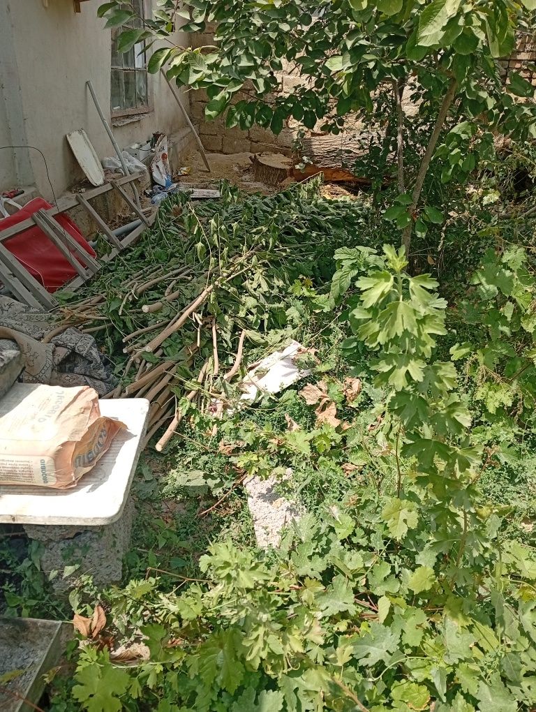 Дерево на дрова хорошие
