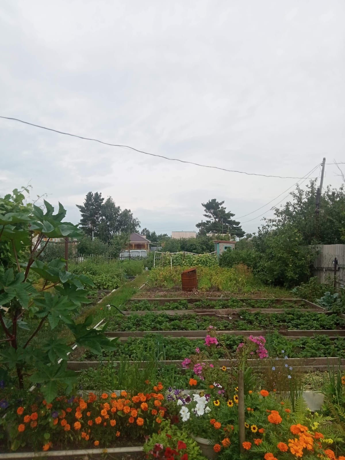 Продам дачу, ухоженную