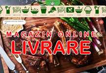 Site de Livrare Mancare la CHEIE - Pizza , Fast Food, La Ceaun!
