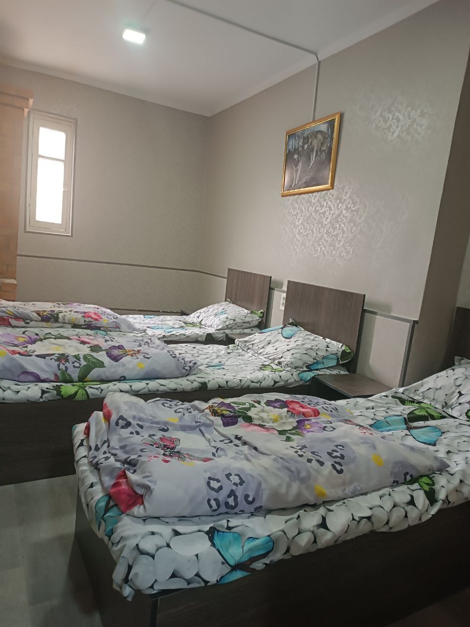 Hostel Xostel Уй квартира гостиница kvartira gostinsa Mehmonxona