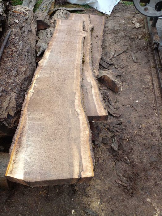 Scandura de nuc de vanzare