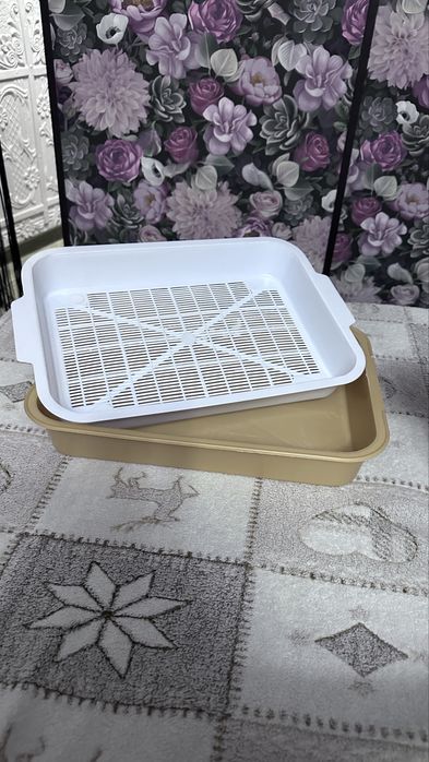 Переноска, когтеточка, лоток и миска для вашей кошечки