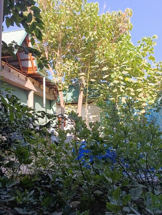 Камолон маҳалласида 7.35 сотихли хонадон сотилади