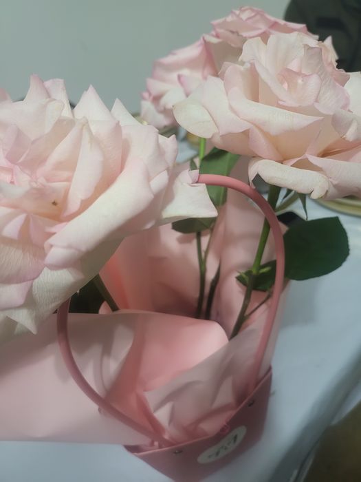 Срочно продам по доступной цене  сегодня  куплена