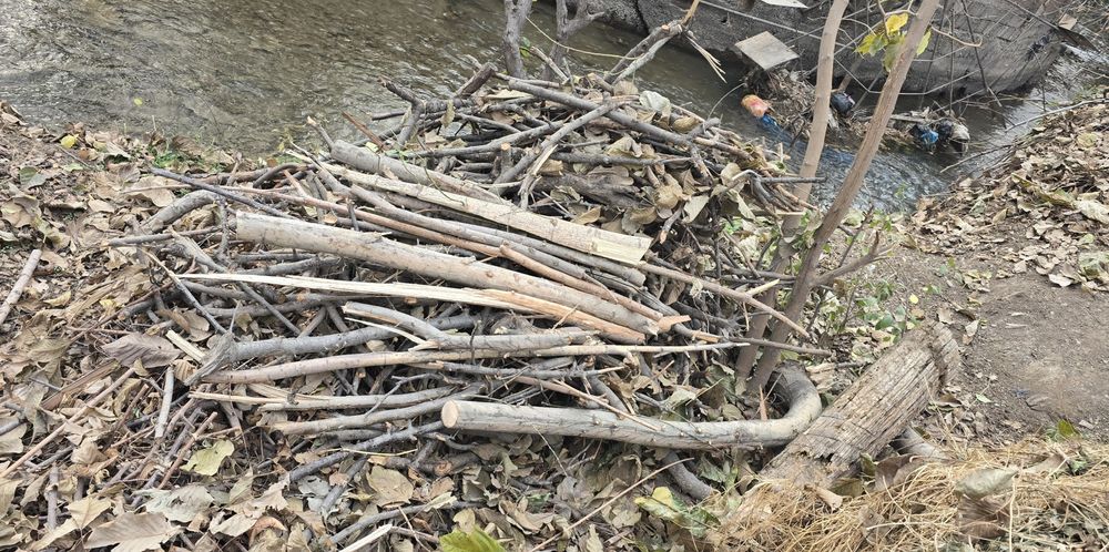 Дрова дров утин otin utin