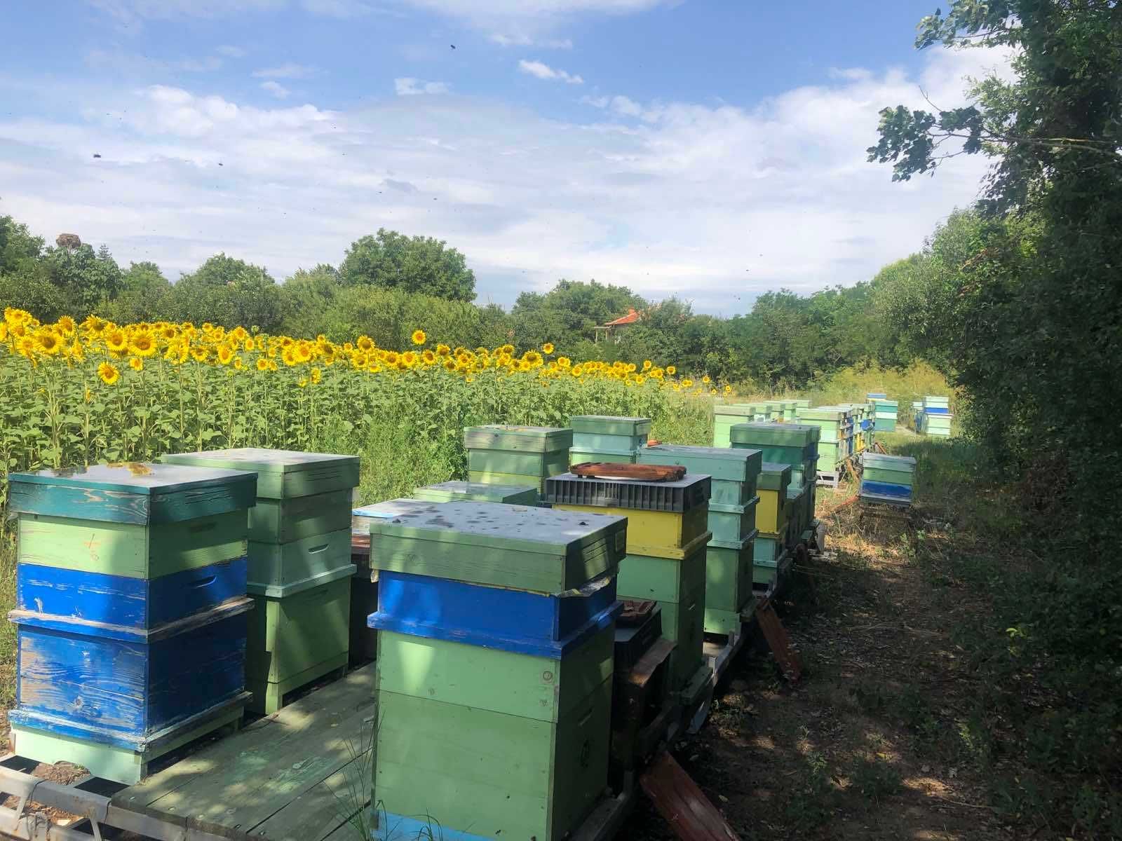 Продавам натурален пчелен мед