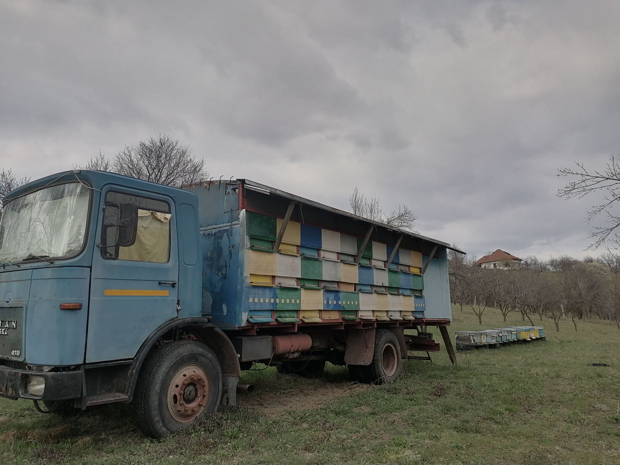 Camion apicol de vânzare