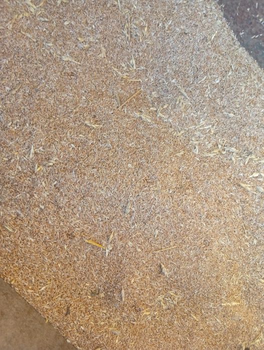 Продам отходы хорошые сухие мешок 3000 тыщи абращяитесь в любое время