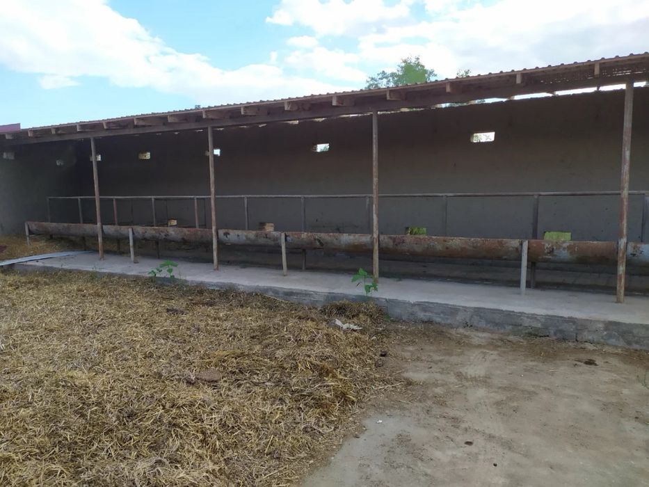 Ферма  кошимча ери билан сотилади