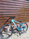 Bicicleta Cross dexter