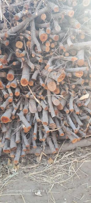 Утинлар сотилади