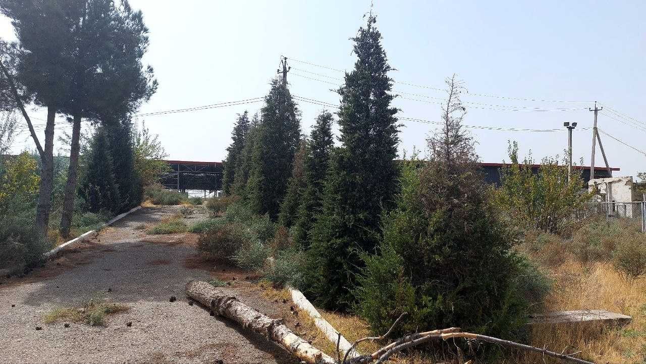 Baliqchilik xo`jaligi