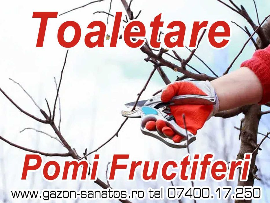 FIRMĂ: Toaletări Pomi Fructiferi, Arbori Arbuști, Spații verzi ARAD