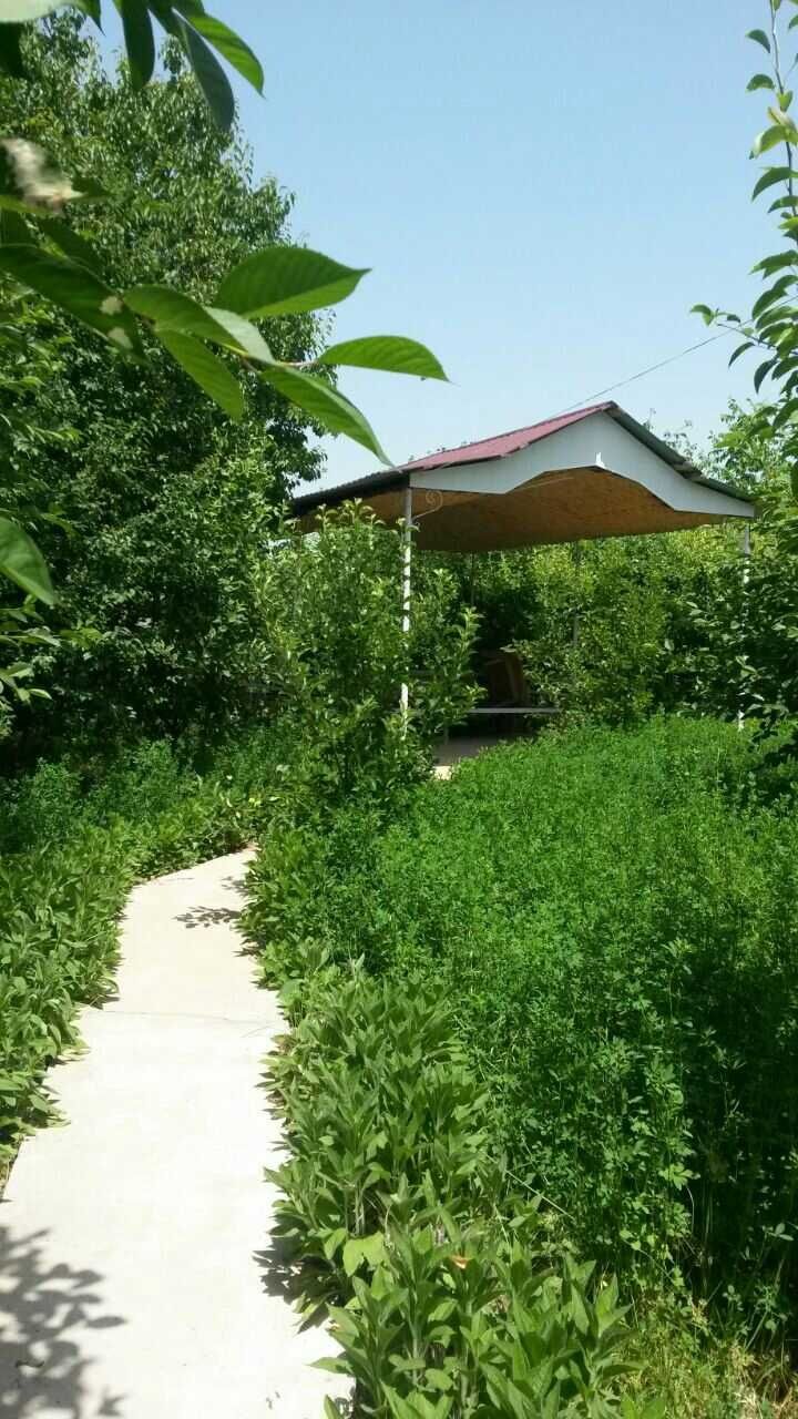 Dacha sotiladi 11 sotok