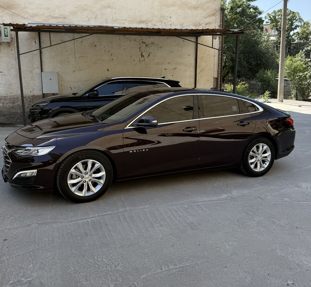 Malibu-2 Premier 2022 ideal Black Burgundi