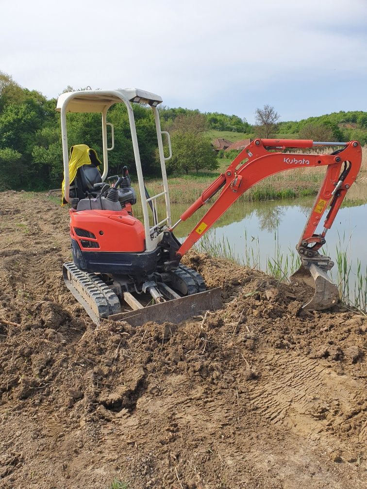 Miniexcavator de închiriat și transport basculabil