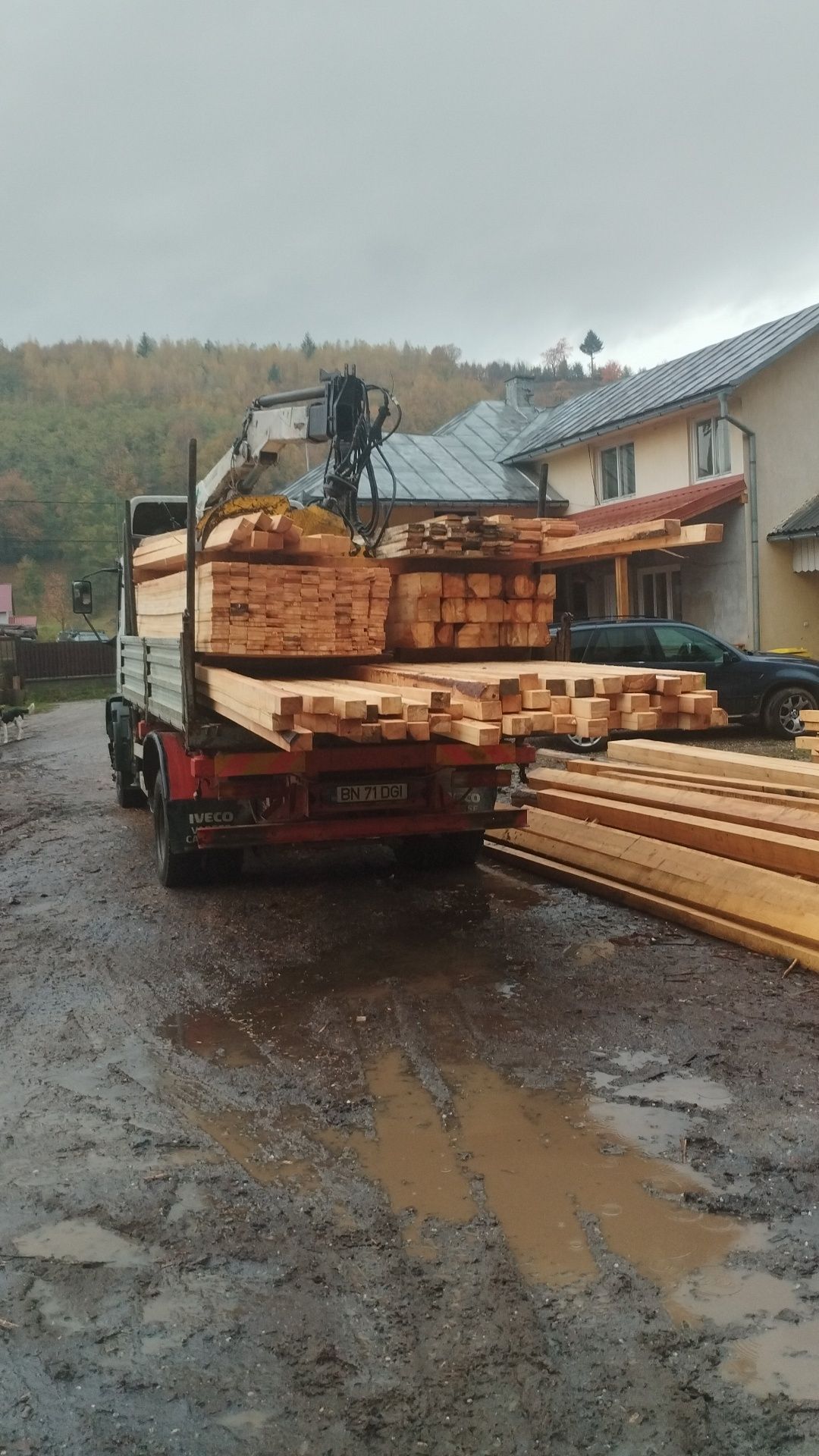 Cherestele și lemn pentru construcții