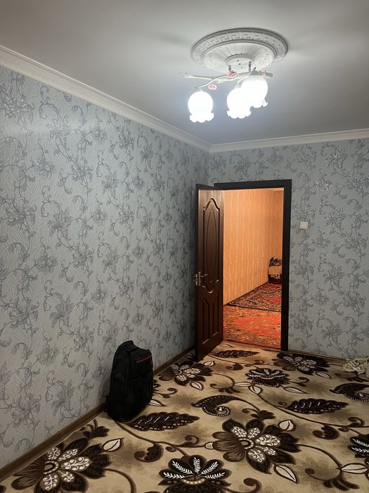 Студент кизларга квартира Жахон тиллари