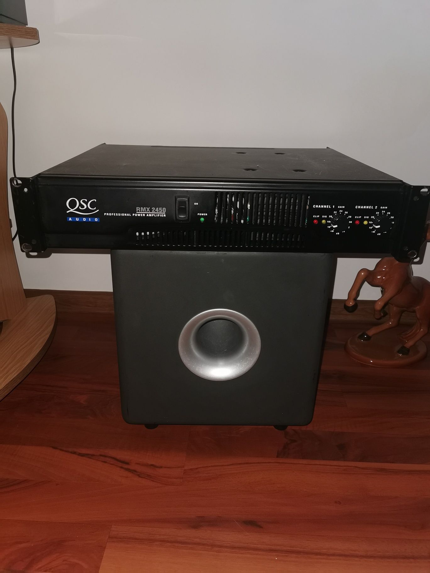 Planta Aloe. Soundboks 3. QSC RMX 2450.Beyma