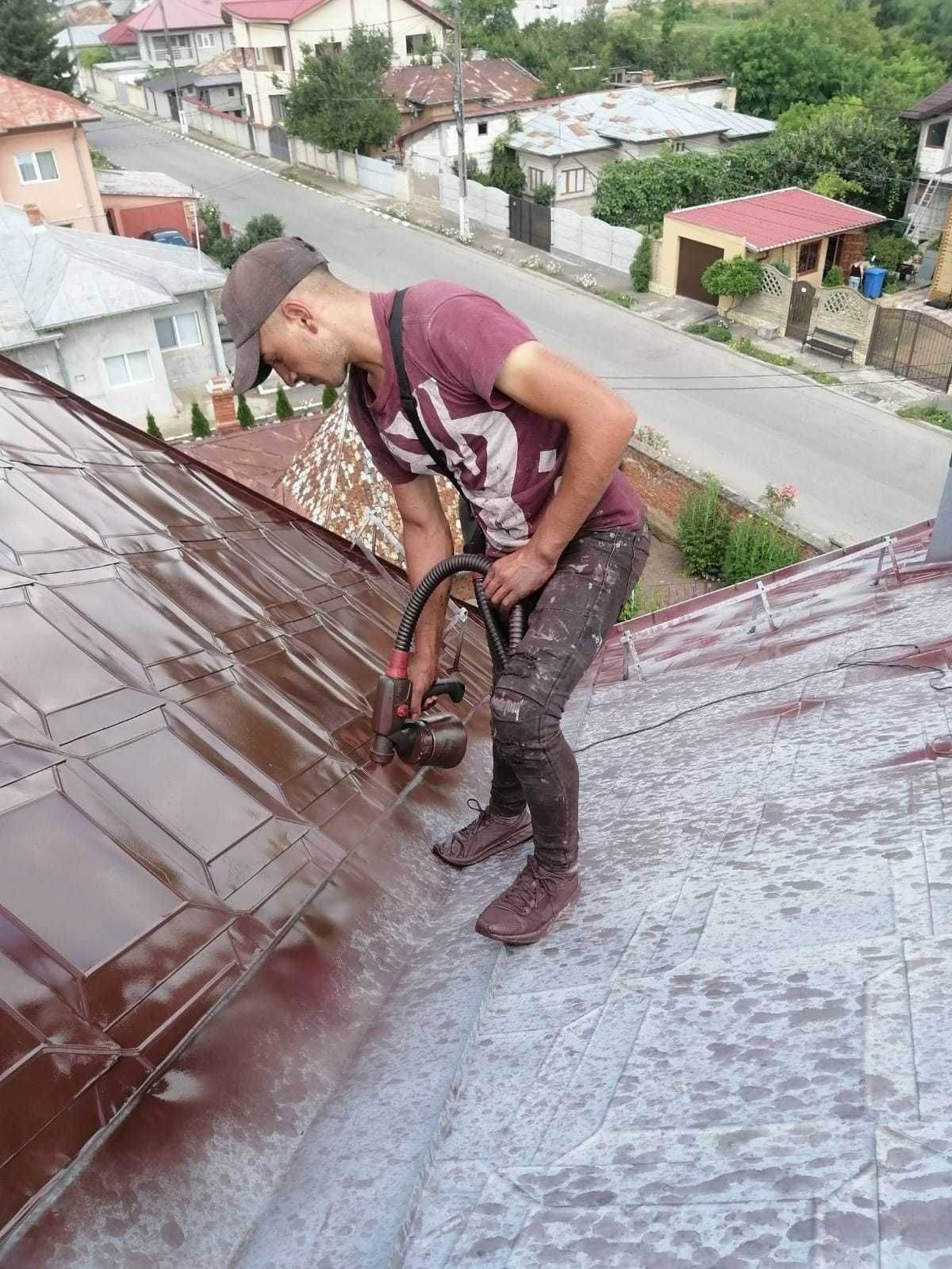 Vopsim orice tip de tablă pe acoperisuri la case/vile/biserici, struct