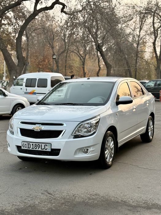 Arenda Cobalt nasiya