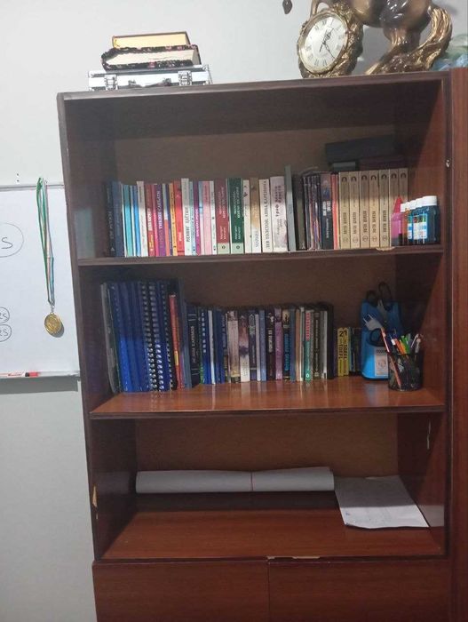 Shikaf! Yarmi kitobshkaf, yarmi gardirop