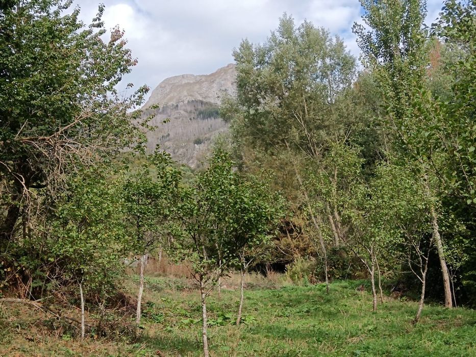 Teren Muntii Cernei,Cornereva,Dobraia