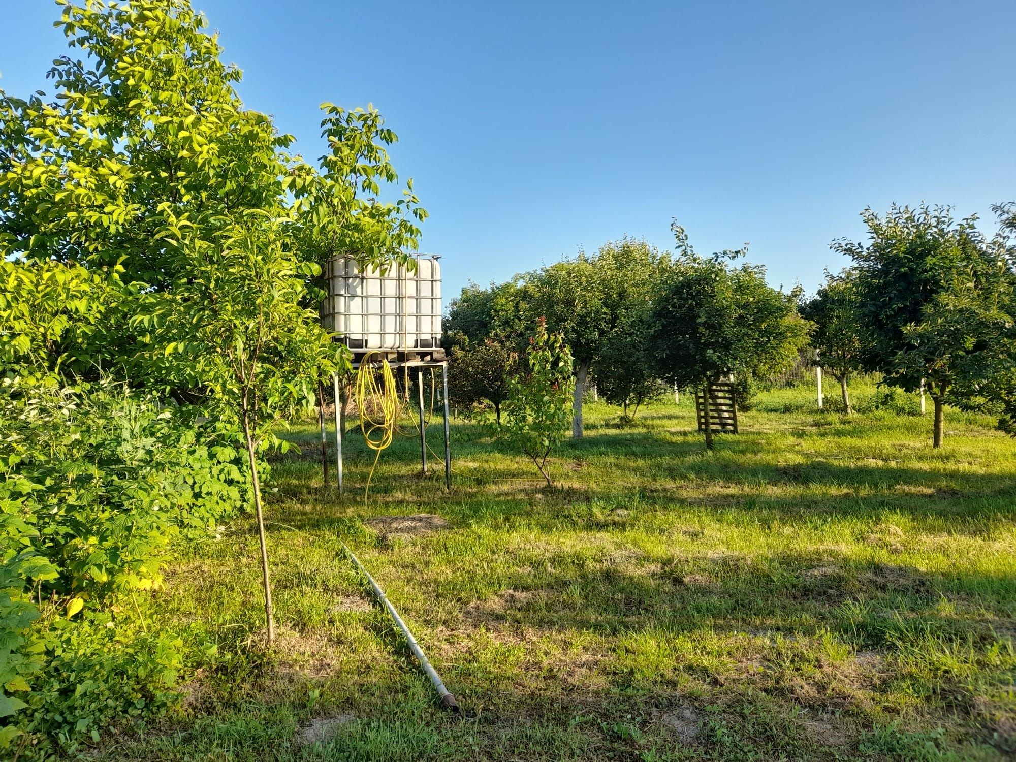 Vand locatie de vacanta (teren+casuta si anexe)