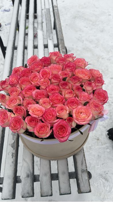 51 нежная роза в стильной коробке — свежие и пышные