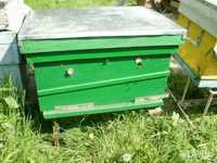Ящики для пчел/Aslari qutisi