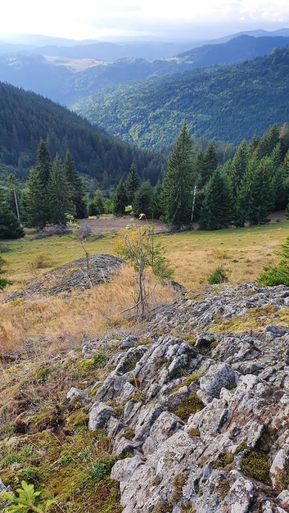 Vand teren la poalele Varfului Vladeasa