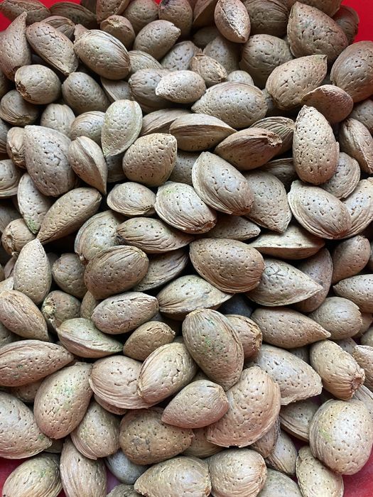 Migdale  dulci romanesti  in coajă sau miez din livadă proprie
