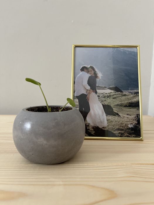 Бетонное кашпо для цветов