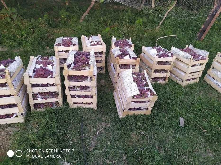 Продается дачный участок Окбурье 50 сотых за 15000уе