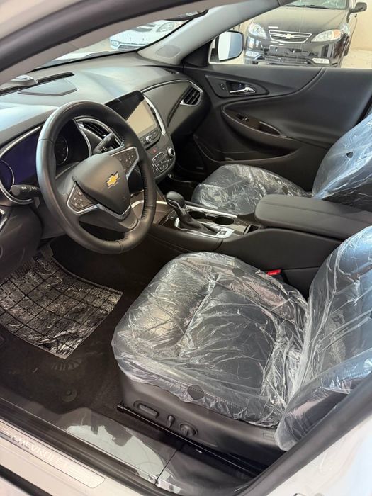 Malibu premier masla