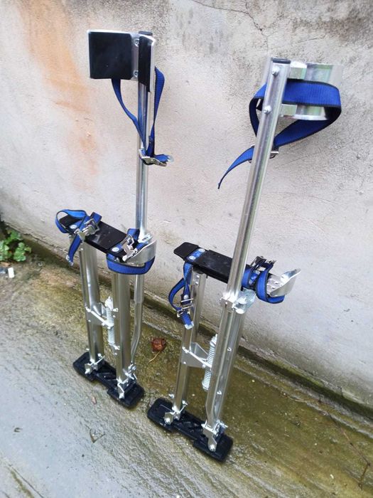 Picioroange , catalige .