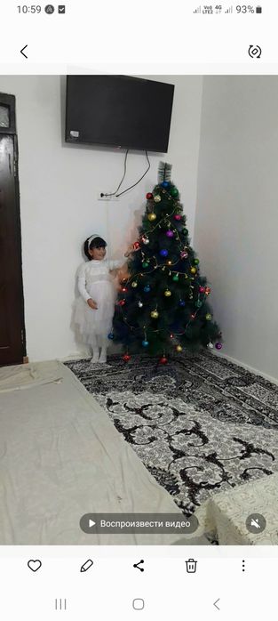 Арча сотилади 1.8м