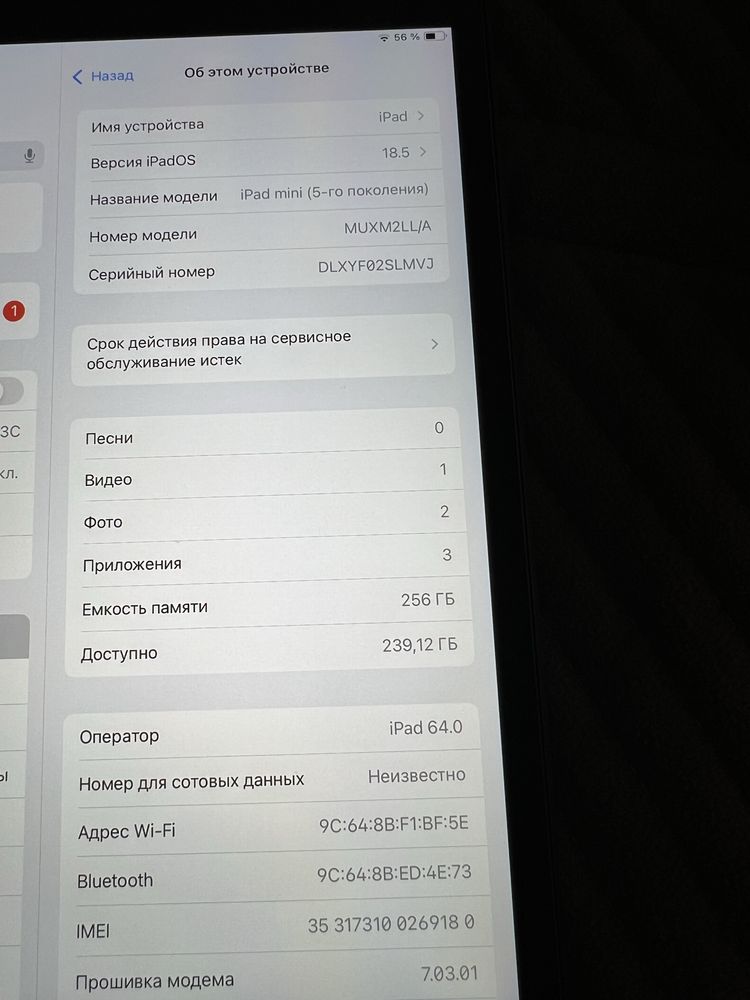 iPad mini 5 Wi-Fi + Cellular 256g