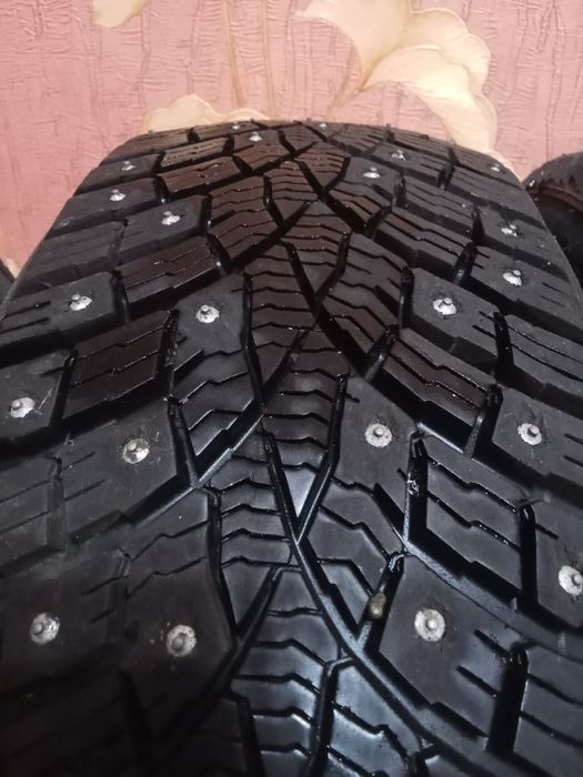 Зимний шины  Triangle