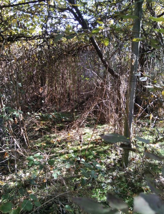 Продава се Къща в с. Стоб, Област Кюстендил - 130 кв.м за 310 €/кв.м - Снимка #4