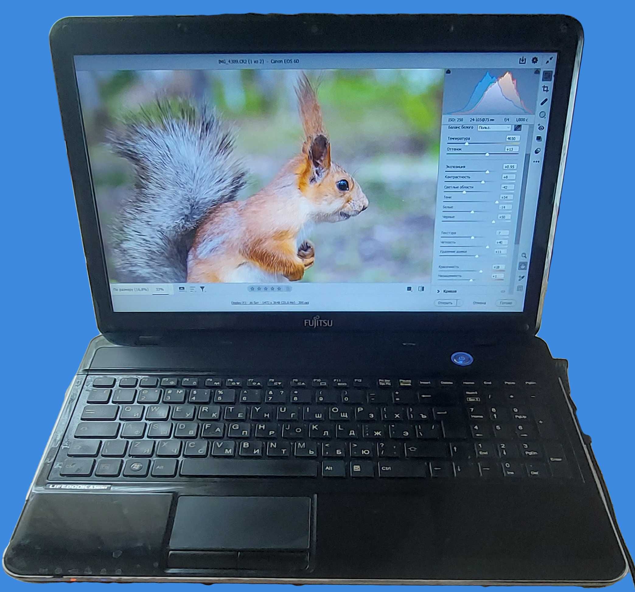 Ноутбук Fujitsu AH531 Core i5 ram_ddr_12gb