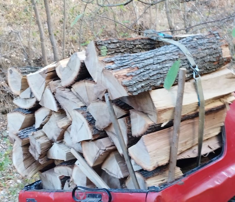 Lemne esență tare pentru foc / fag, carpen, stejar