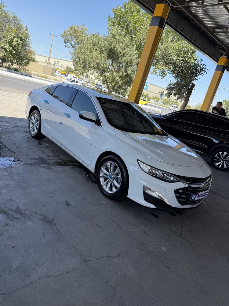 Malibu premer 2022