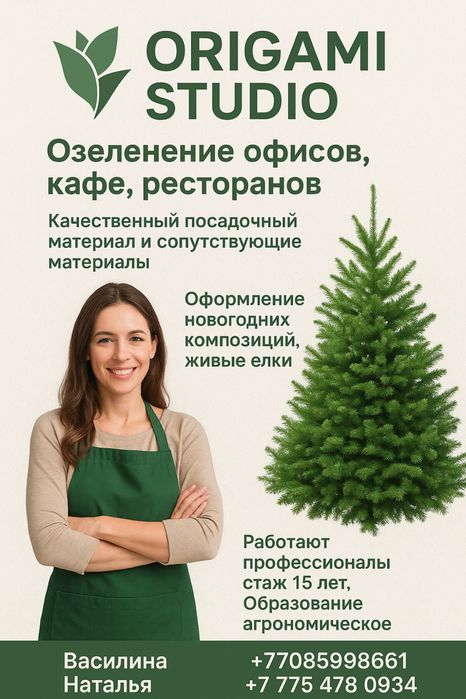 Профессиональное озеленение коммерческих пространств «под ключ»